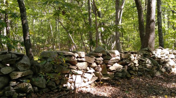 Red trail, stone wall, 9/25/16