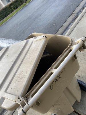 Trash can damage after it was picked up today