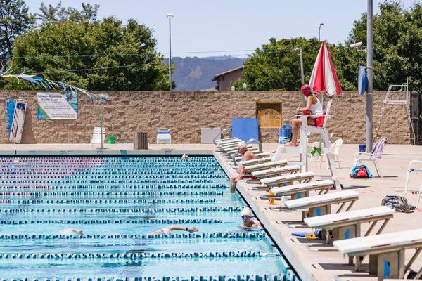 Competition pool, great for lap swim!