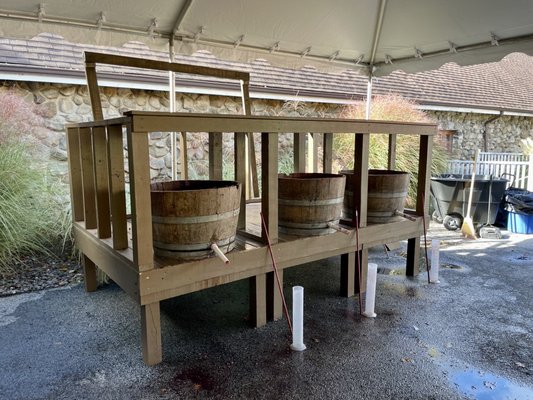 Grape Stomping barrels