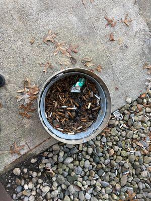 wet stinking cigarette butts