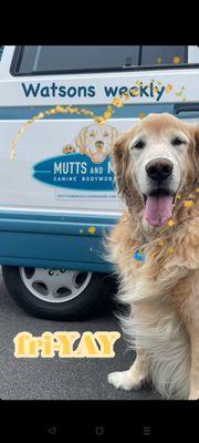 Watson in front of the Mutt Bus!