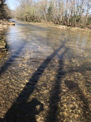 Bear Creek Trail Rides