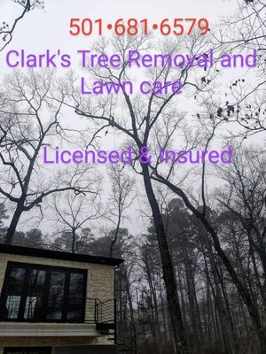 Clark's Tree Removal and Lawn care