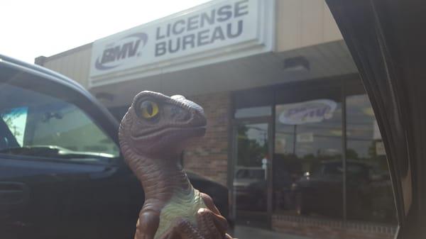 Bob the Raptor Says "This is where you go to get a license for your mammals."