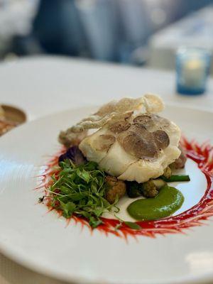 Coronado Island Sea Bass