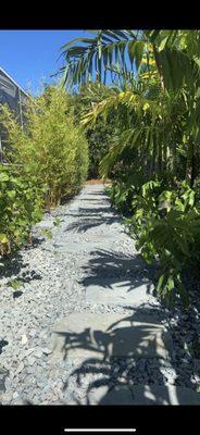 Tropical walkway