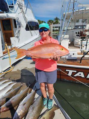 Yellow Eye Snapper