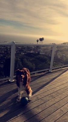 izzy and this beautiful view