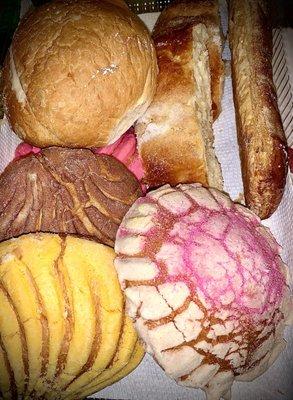 Conchas - pan dulce! Price is well worth it! Clean and organized on the shelves