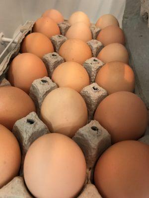 Farm fresh eggs