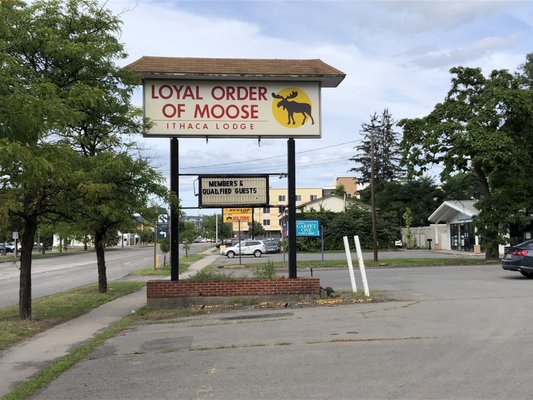 Loyal Order of Moose - Ithaca NY Lodge Sign