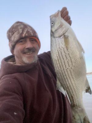 Hybrid striper