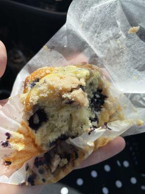 Blueberry muffin