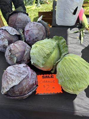 Bought a huge cabbage for only $2. Using it for 2 different recipes for our big Labor Day pool party this weekend.