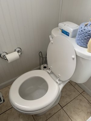 Toilet Cleaning