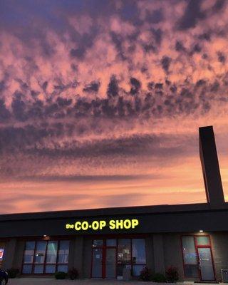 The Co-Op Shop