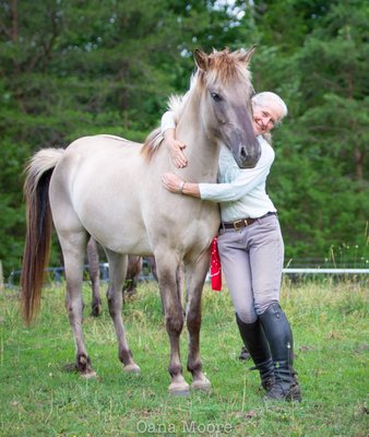 Equine Partnering