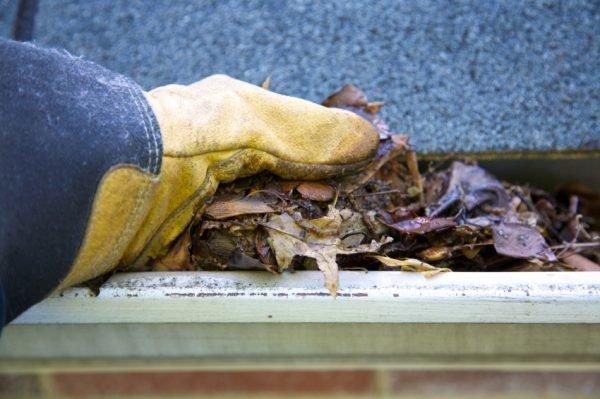 Gutter Clearing