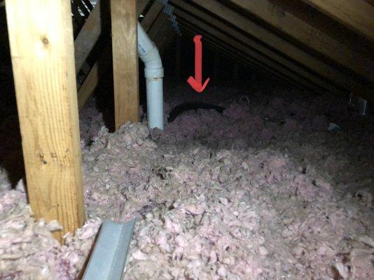 Now insulated, shower water lines run up into my attic? read review in "not currently recommend" below.