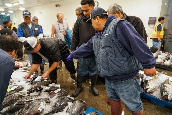 Fresh fish from the auction daily.