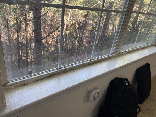 Mold on master bedroom window