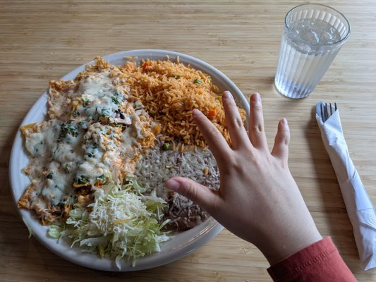 Chilaquiles com huevos (hand for reference)