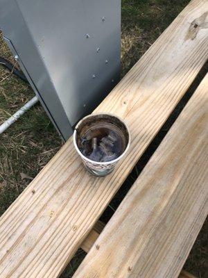 Floating cigarette butts left on my picnic table.