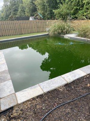 Algae filled pool