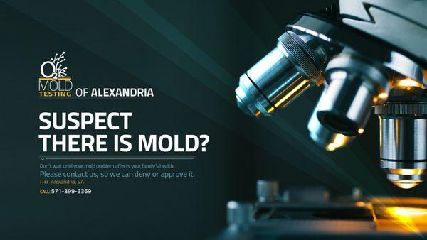 O2 Mold Testing of Alexandria