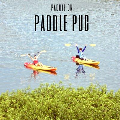 Paddle Pug Sup & Kayak Rental