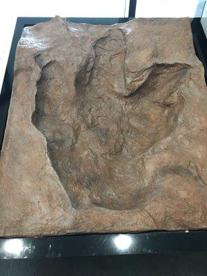 T-Rex Footprint