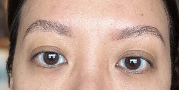 The next day after eyebrow wax, tint and lamination. (I need to brush them)