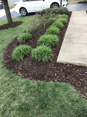 A recently completed mulch job in Lorton.