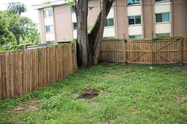 After Picture Wooden Fencing and Yard