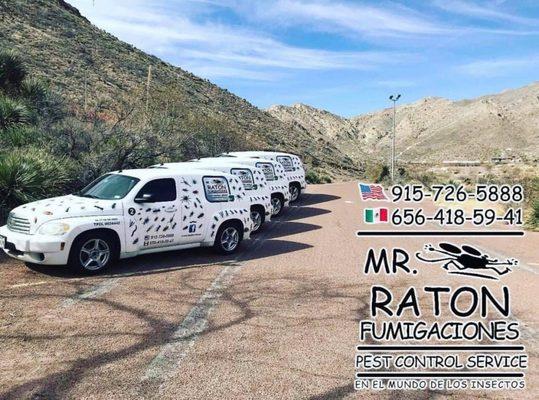 Mr.Raton Pest Control