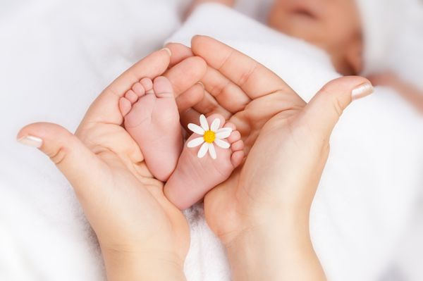 Bloom Doula & Birth Services