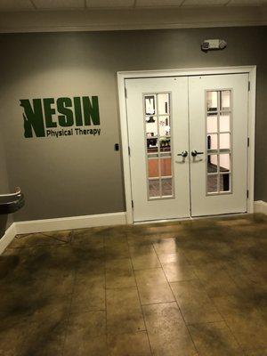 Nesin Physical Therapy