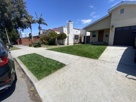 House in the city of Venice with new sod