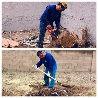 Storm Cleanups