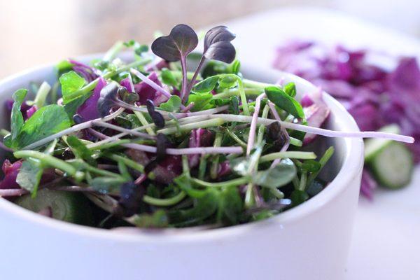 Make a Super-Salad with Microgreens