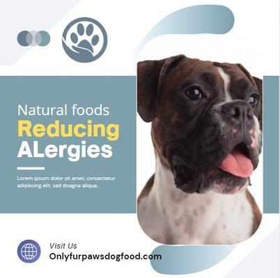 Premium food for dogs. Only Fur Paws! We assist in reducing food allergies through quality foods.