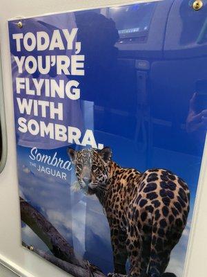 My plane was called Sombra