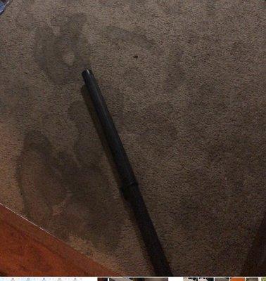 Water standing on carpet.