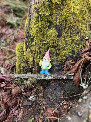 Gnomes Trail