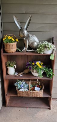 A Unique Rabbit Garden Lantern & Beautiful Plants in Vintage Containers