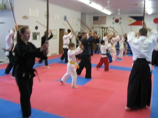 Masters and Champions Martial Arts