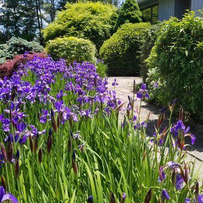 Garden Walkway