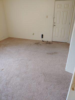 Before & After Carpet Cleaning in Keller, TX