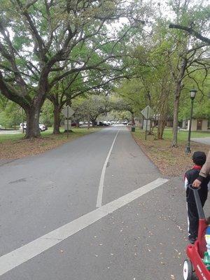 Walking trail/street